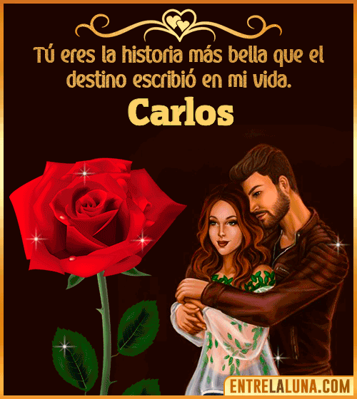 Tú eres la historia más bella en mi vida. Carlos