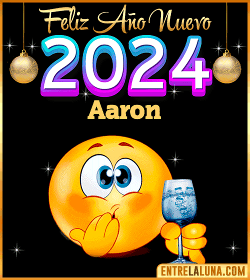 Feliz Año Nuevo 2024 gif Aaron