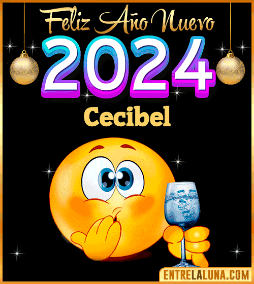 Feliz Año Nuevo 2024 gif Cecibel