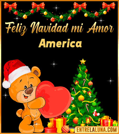 Feliz Navidad mi Amor America