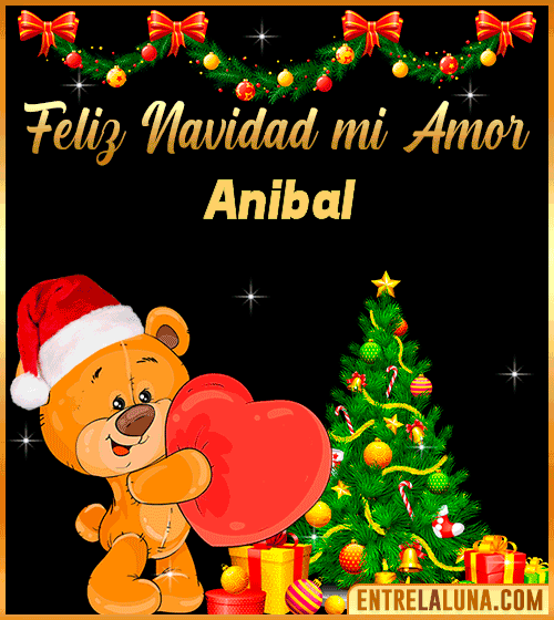 Feliz Navidad mi Amor Anibal