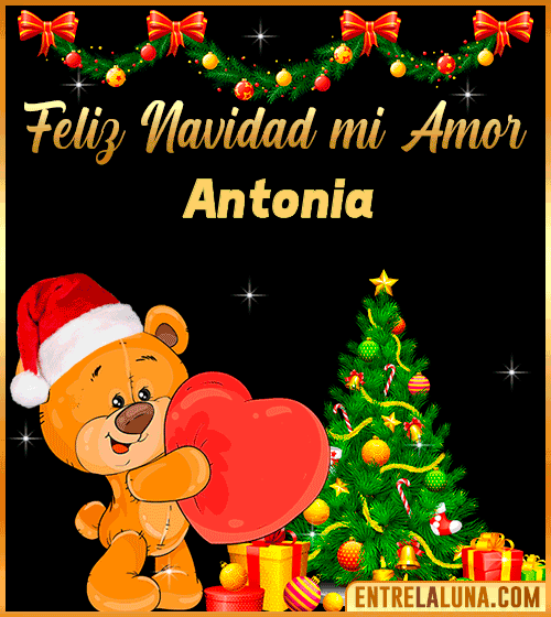 Feliz Navidad mi Amor Antonia