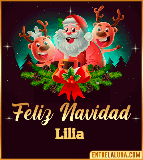 Feliz Navidad Lilia