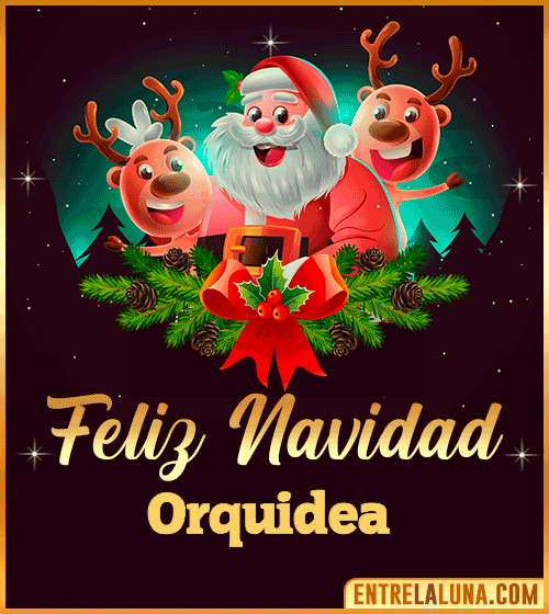 Feliz Navidad Orquidea