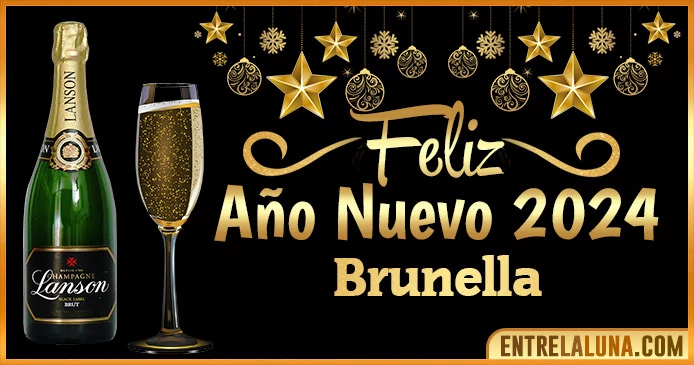 Gif de año nuevo 2024 para Brunella 🥂