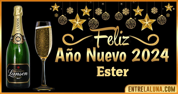 Gif de año nuevo 2024 para Ester 🥂