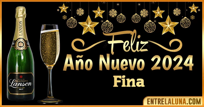 Gif de año nuevo 2024 para Fina 🥂