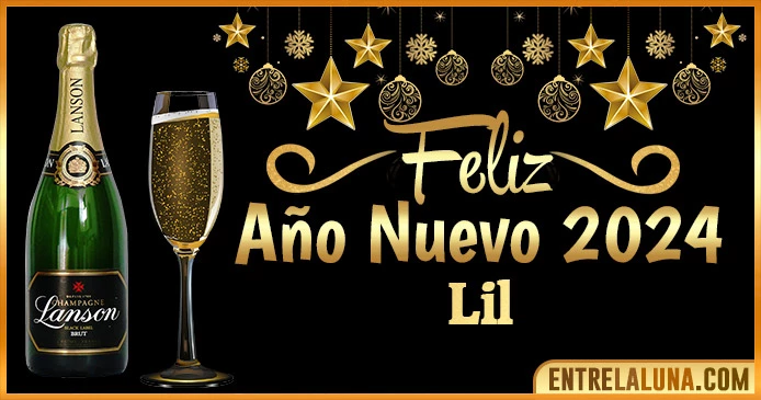 Gif de año nuevo 2024 para Lil 🥂