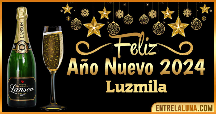 Año Nuevo Luzmila