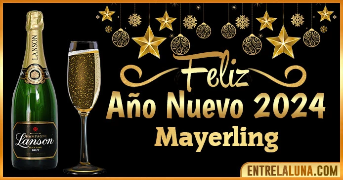 Gif de año nuevo 2024 para Mayerling 🥂