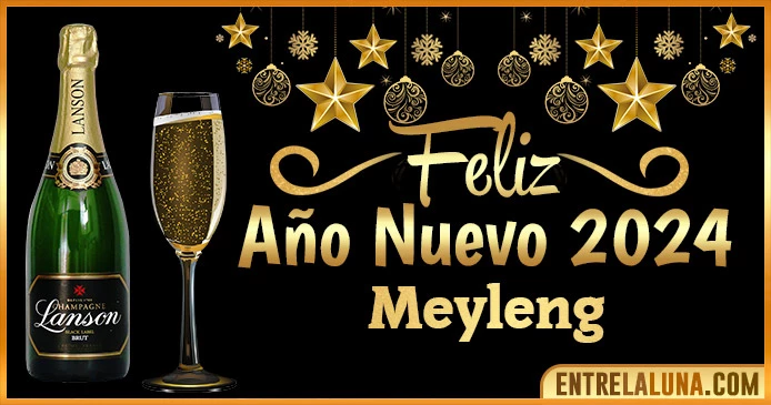 Gif de año nuevo 2024 para Meyleng 🥂