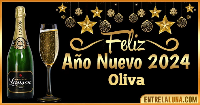 Gif de año nuevo 2024 para Oliva 🥂
