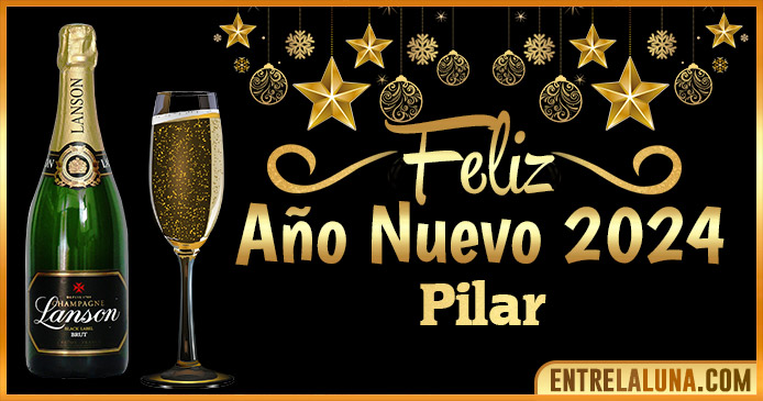Gif de año nuevo 2024 para Pilar 🥂