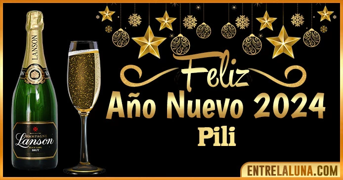 Gif de año nuevo 2024 para Pili 🥂