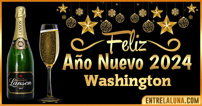Año Nuevo Washington