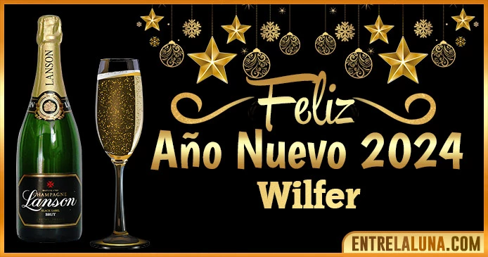 Gif de año nuevo 2024 para Wilfer 🥂