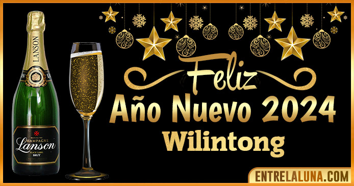Año Nuevo Wilintong