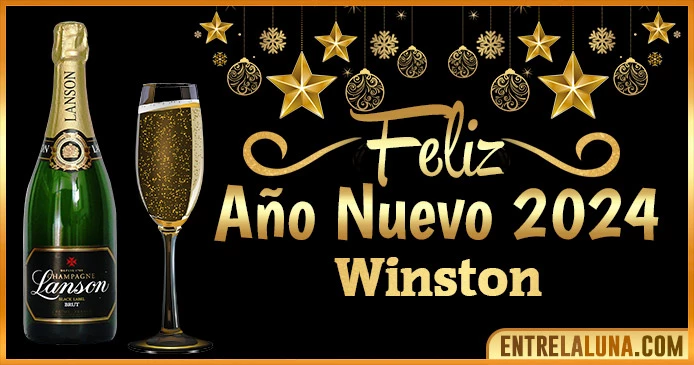 Gif de año nuevo 2024 para Winston 🥂