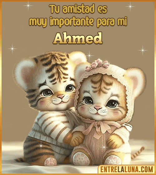 Tu amistad es muy importante para mi Ahmed
