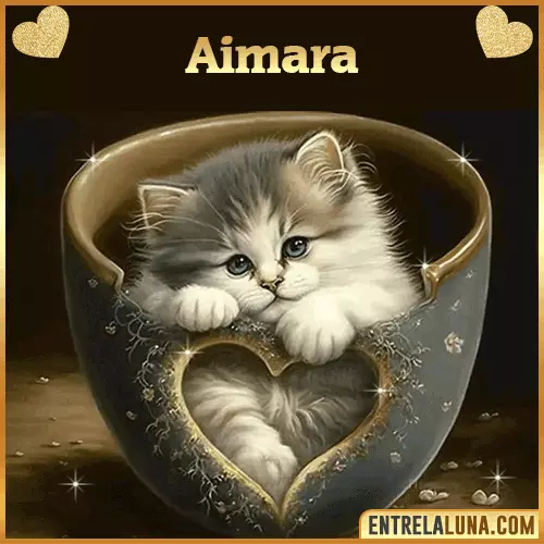 Imagen de tierno gato con nombre Aimara