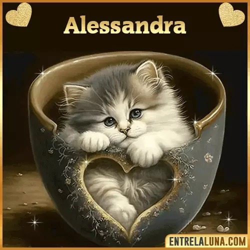Imagen de tierno gato con nombre Alessandra