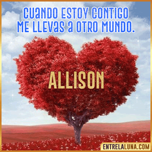 Frases de Amor cuando estoy contigo Allison