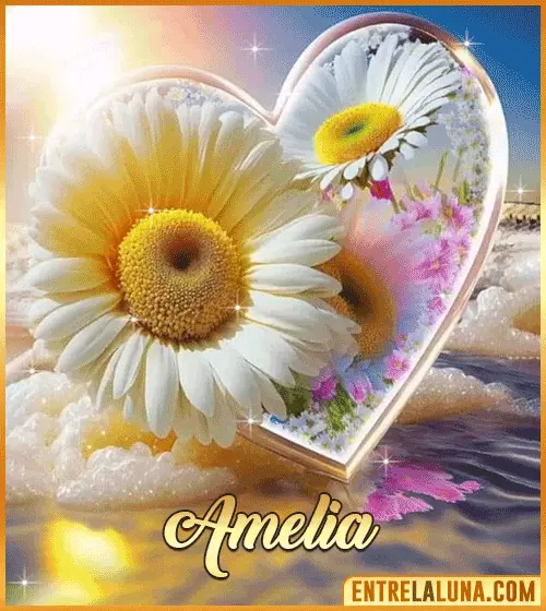 Imagen de corazón y margarita con Nombre Amelia