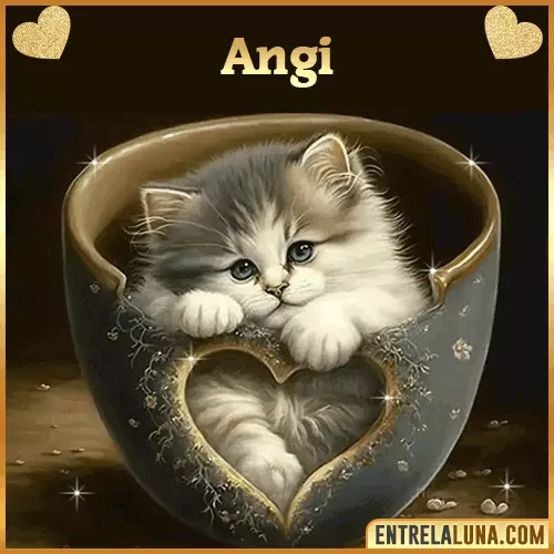 Imagen de tierno gato con nombre Angi