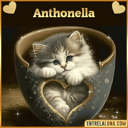 Imagen de tierno gato con nombre Anthonella
