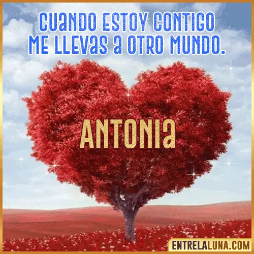 Frases de Amor cuando estoy contigo Antonia