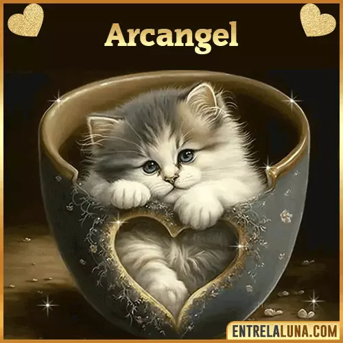 Imagen de tierno gato con nombre Arcangel