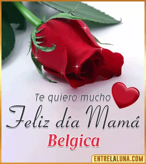 Feliz día Mamá te quiero mucho Belgica