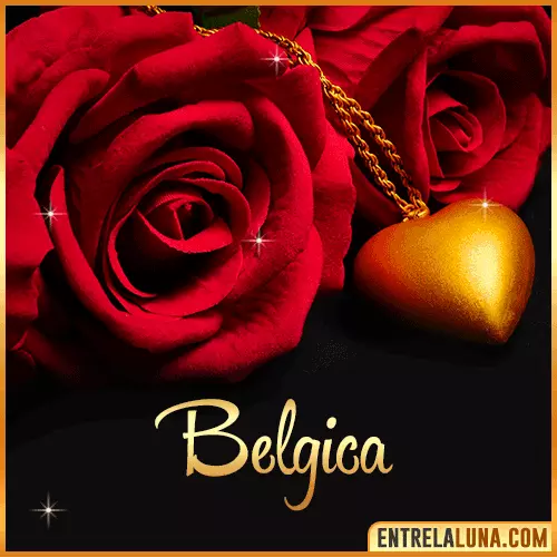 Flor de Rosa roja con Nombre Belgica