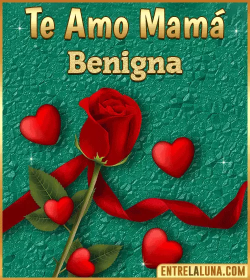 Te amo mama Benigna