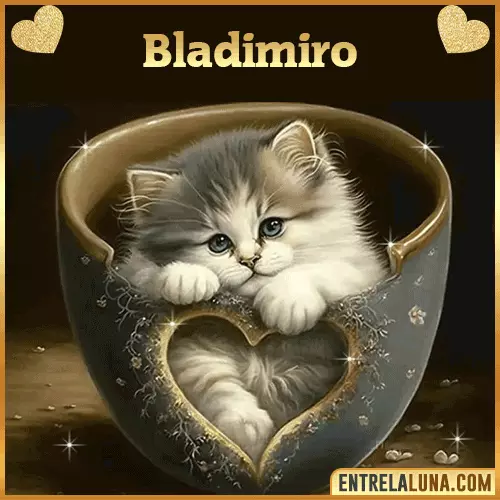 Imagen de tierno gato con nombre Bladimiro