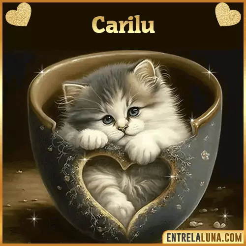 Imagen de tierno gato con nombre Carilu