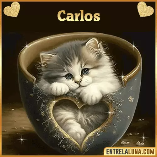 Imagen de tierno gato con nombre Carlos