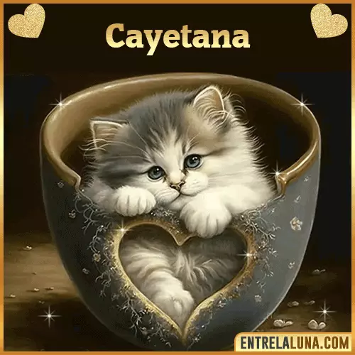 Imagen de tierno gato con nombre Cayetana