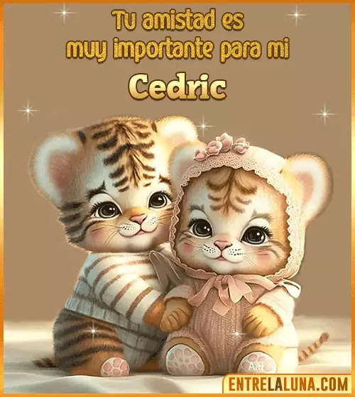 Tu amistad es muy importante para mi Cedric