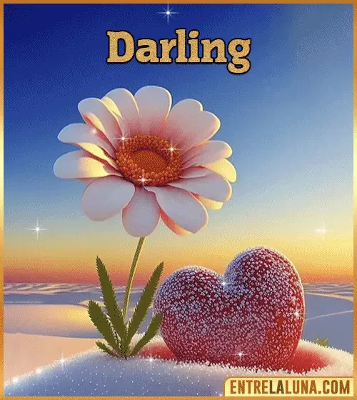 Imagen bonita de flor con Nombre Darling