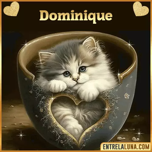 Imagen de tierno gato con nombre Dominique