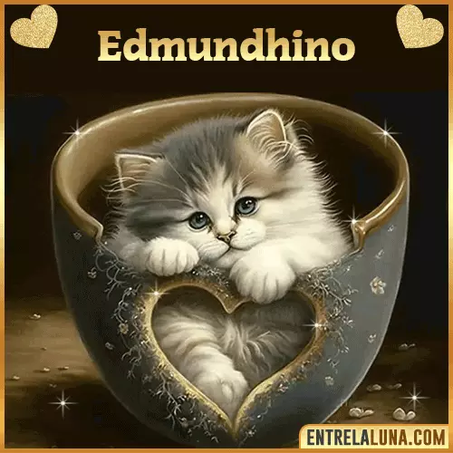 Imagen de tierno gato con nombre Edmundhino