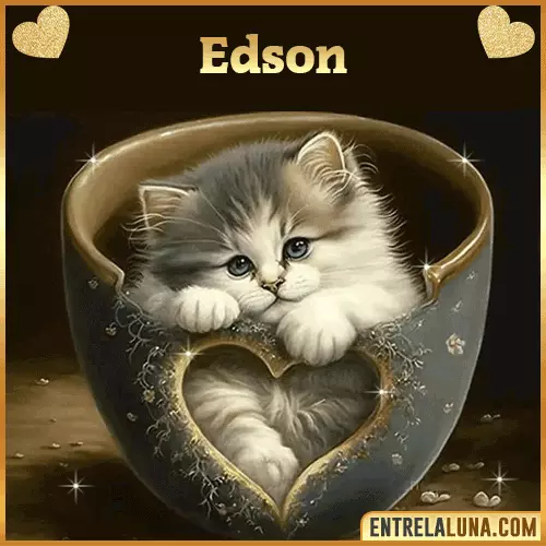 Imagen de tierno gato con nombre Edson
