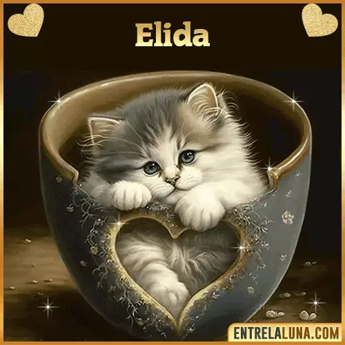 Imagen de tierno gato con nombre Elida