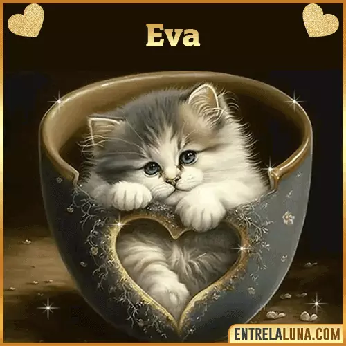 Imagen de tierno gato con nombre Eva