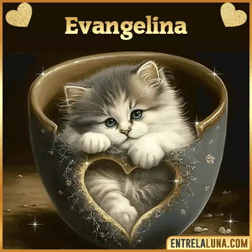 Imagen de tierno gato con nombre Evangelina