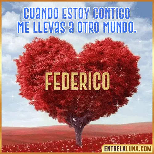 Frases de Amor cuando estoy contigo Federico