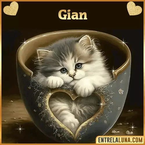 Imagen de tierno gato con nombre Gian