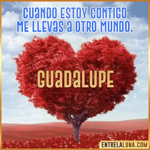 Frases de Amor cuando estoy contigo Guadalupe