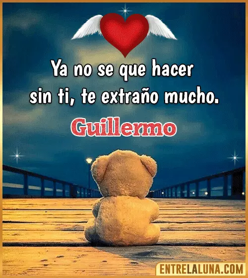 Te extraño mucho Guillermo